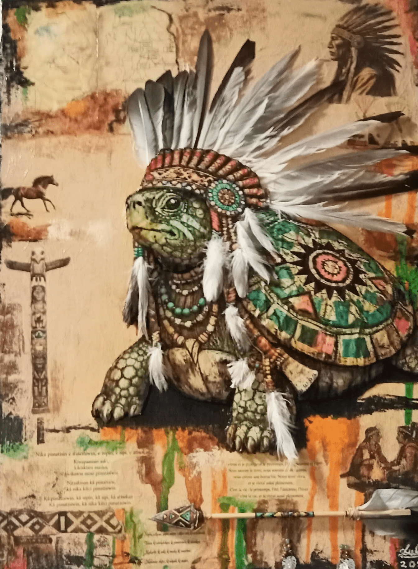 Mikinakw Grande Tortue